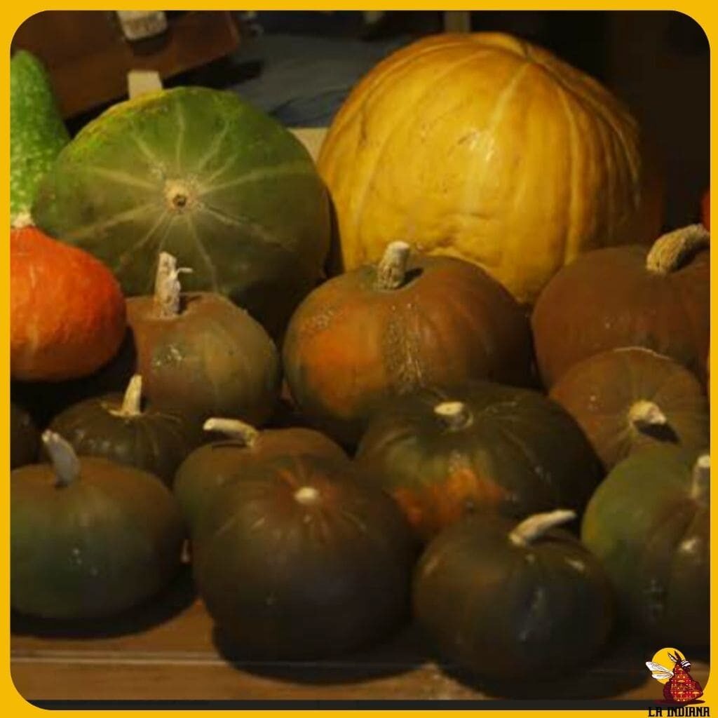 variedades de calabazas