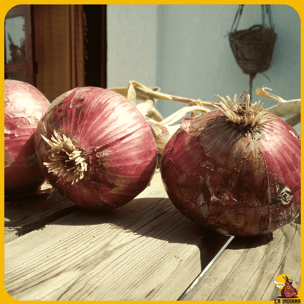 comprar semillas de cebolla morada dulce