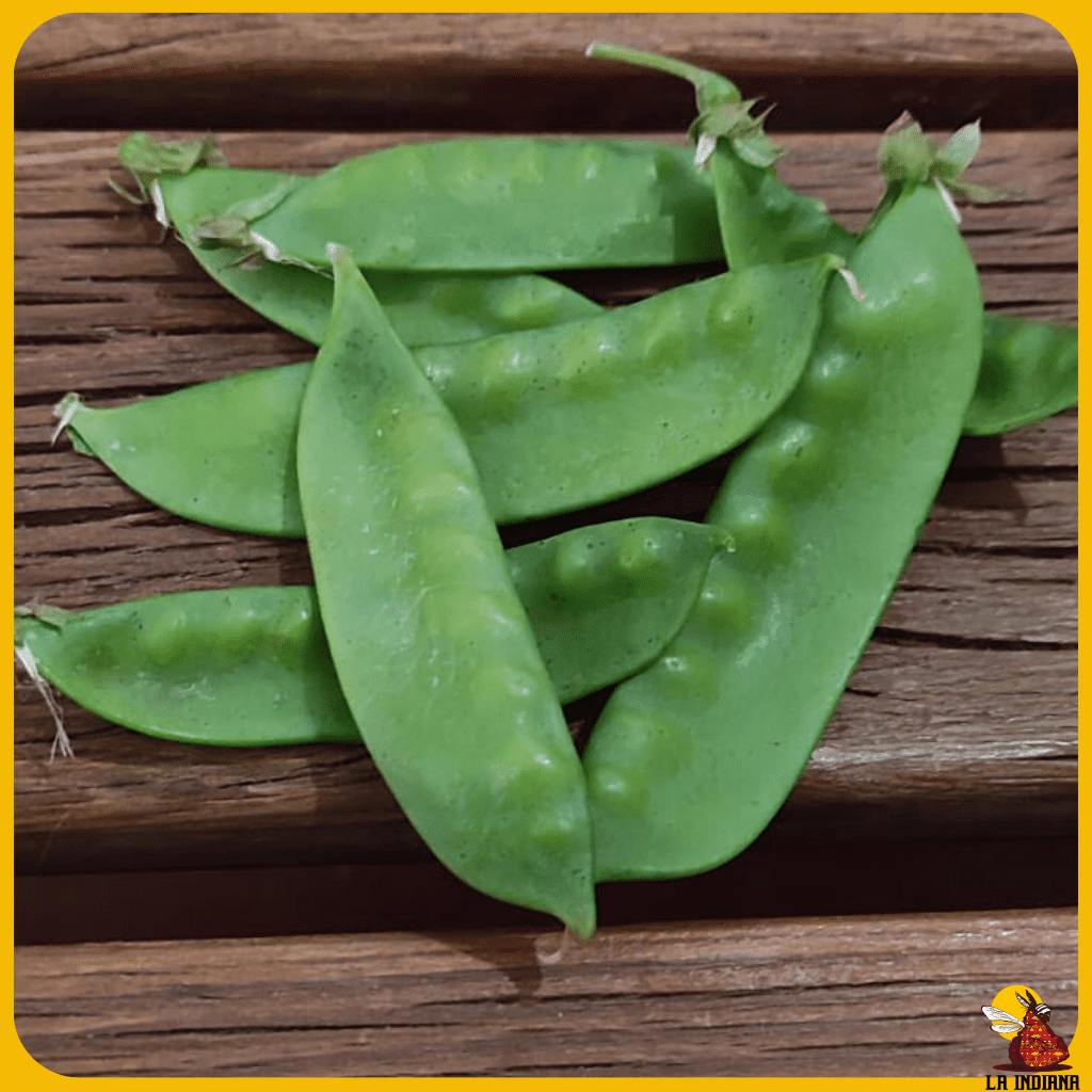 comprar semillas de tirabeques