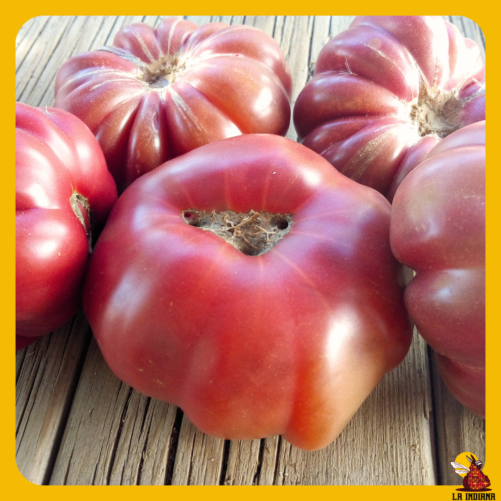 Tomate aplanchatado rosa
