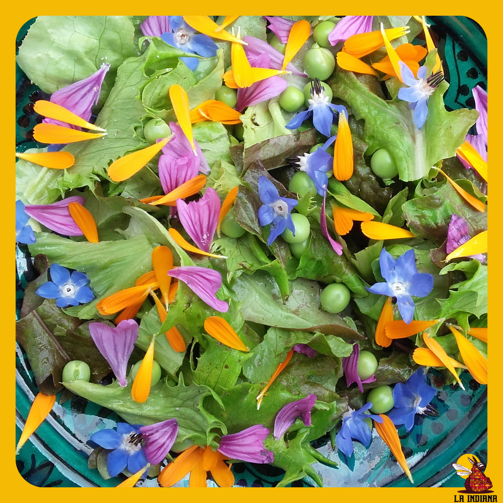flores comestibles